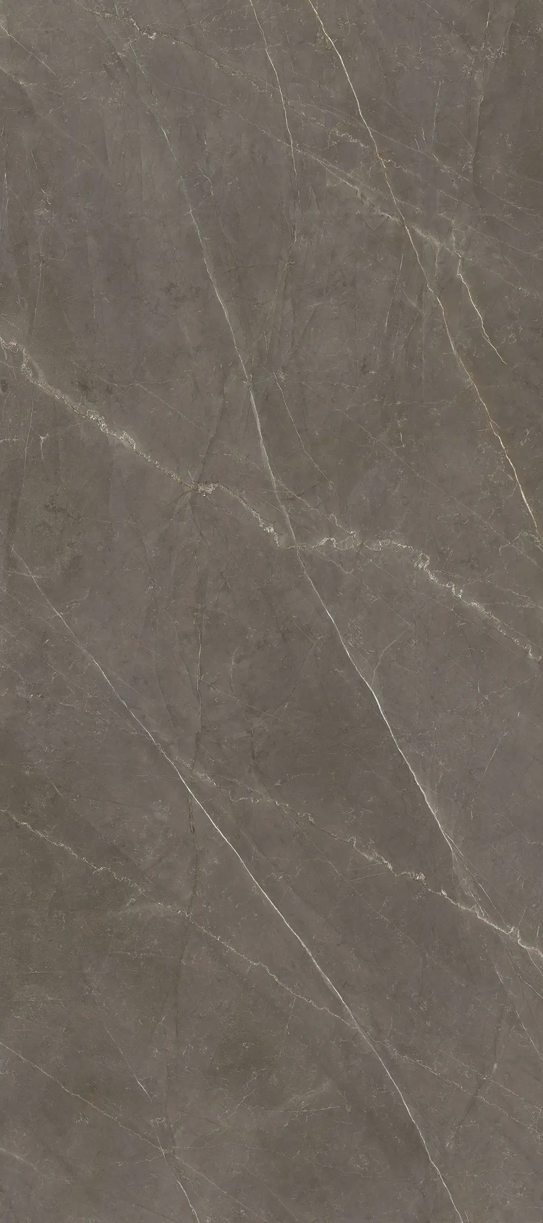 Ava ceramica Marmi Bronze Amani 280x120 cm